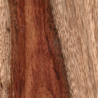 No. 101 No Stain Natural